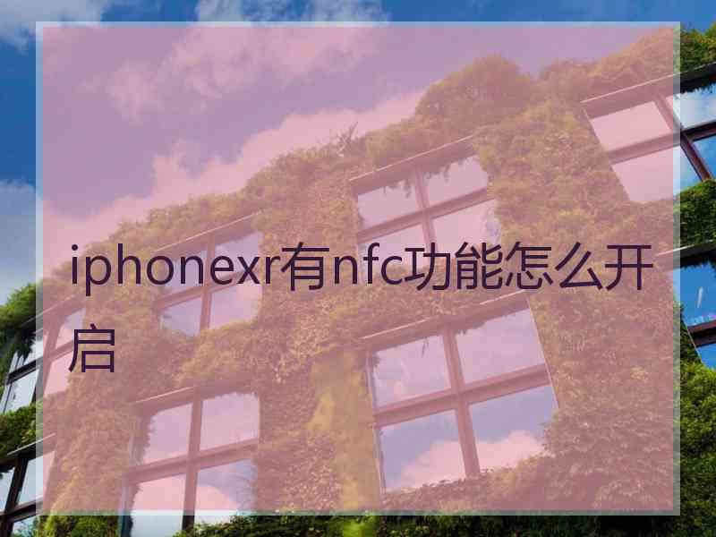 iphonexr有nfc功能怎么开启