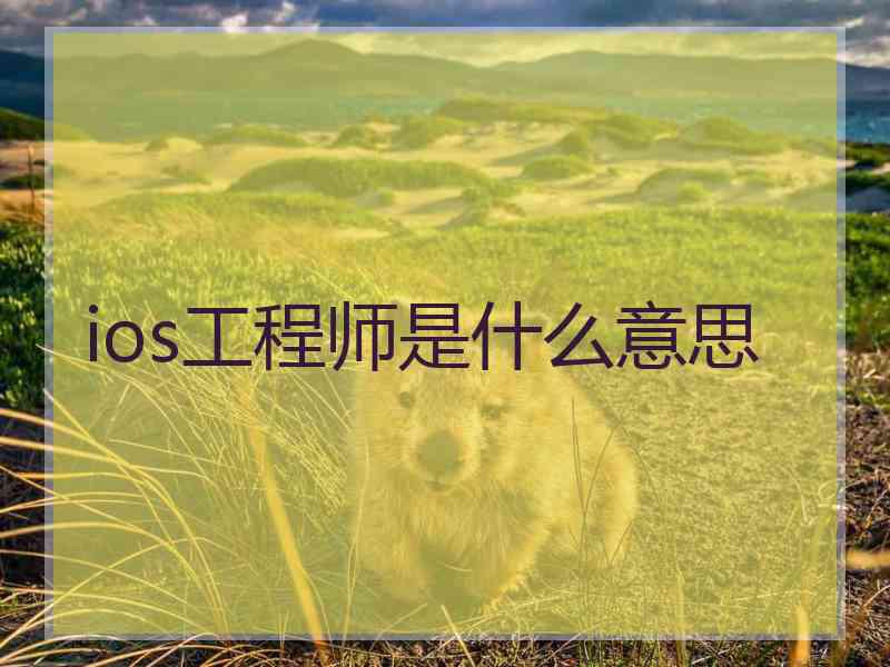 ios工程师是什么意思