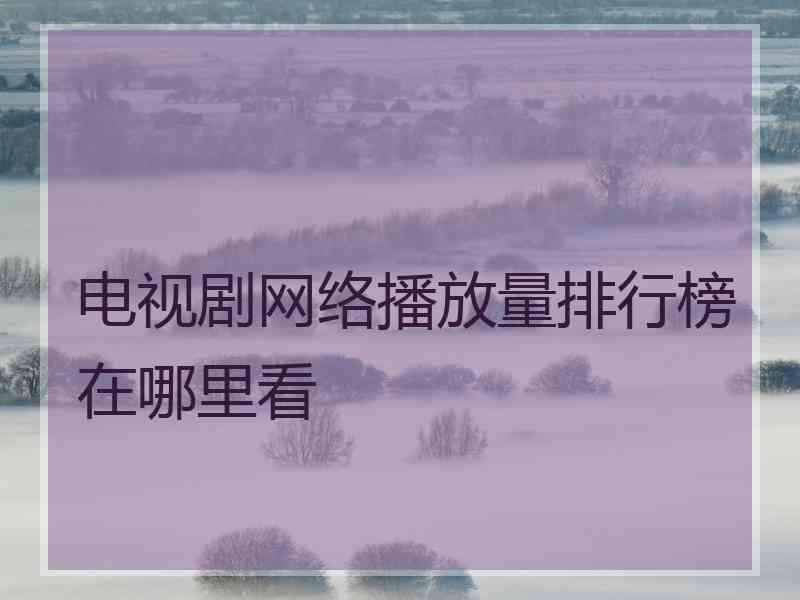 电视剧网络播放量排行榜在哪里看