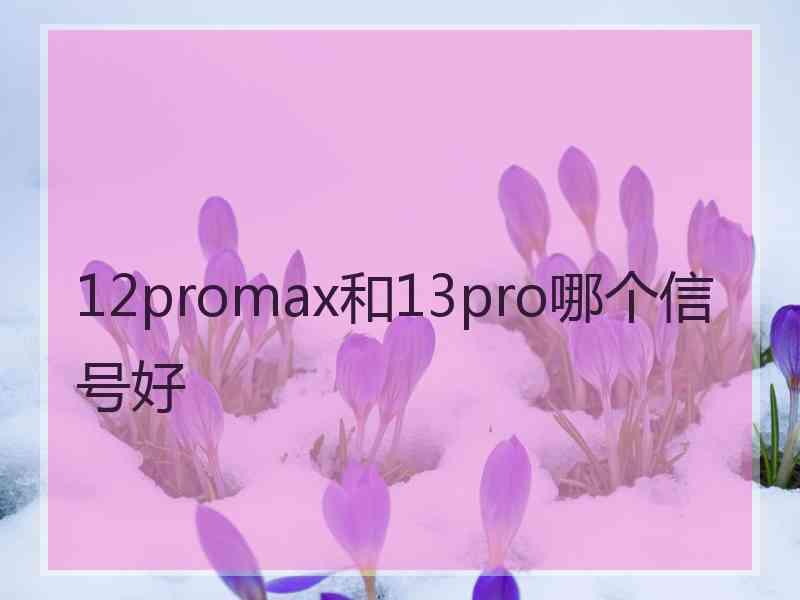 12promax和13pro哪个信号好