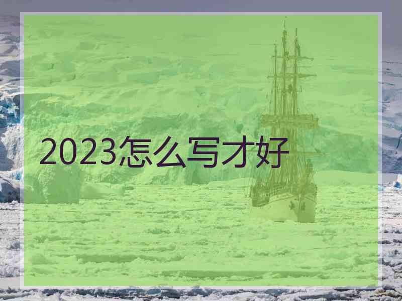 2023怎么写才好