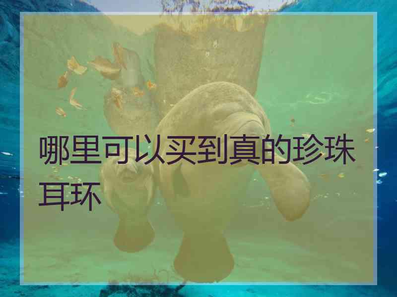 哪里可以买到真的珍珠耳环