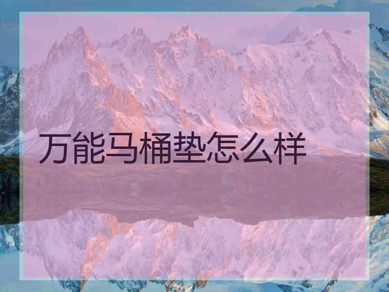 万能马桶垫怎么样