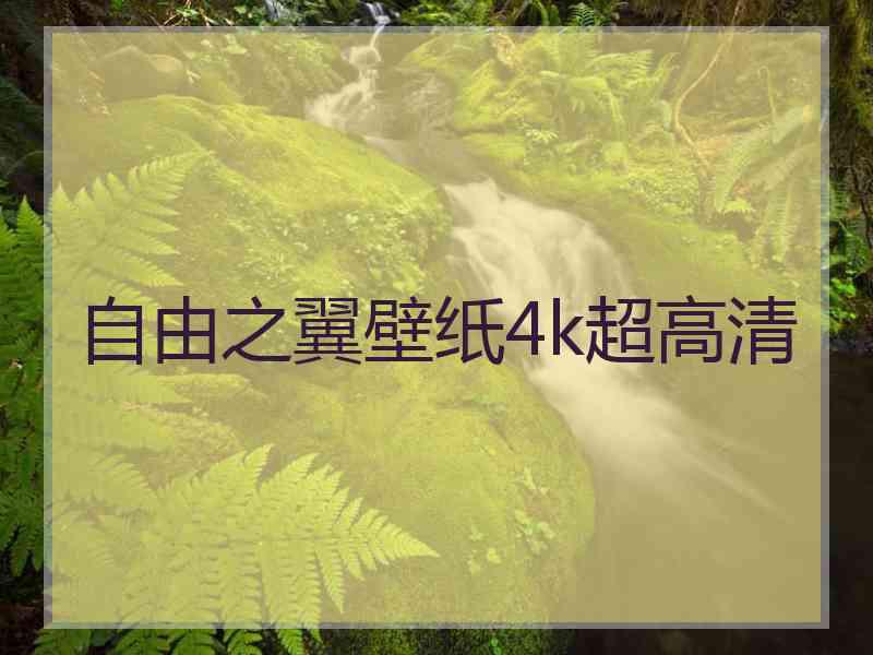 自由之翼壁纸4k超高清