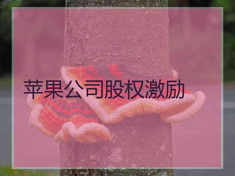 苹果公司股权激励