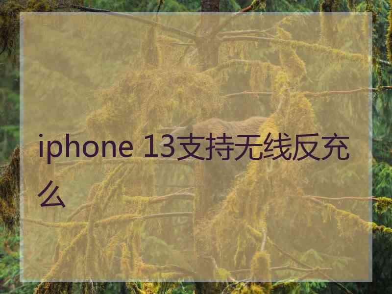 iphone 13支持无线反充么