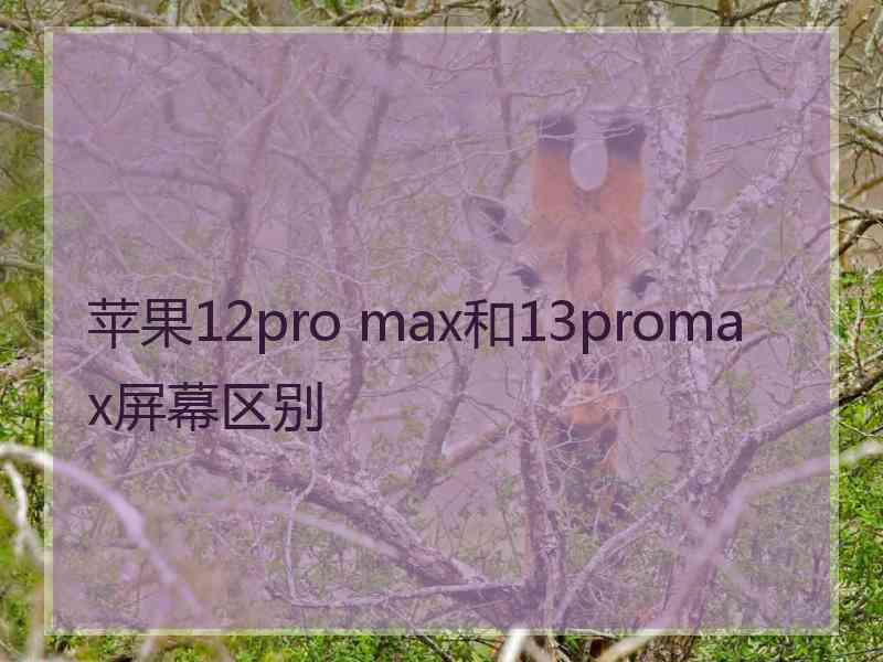 苹果12pro max和13promax屏幕区别