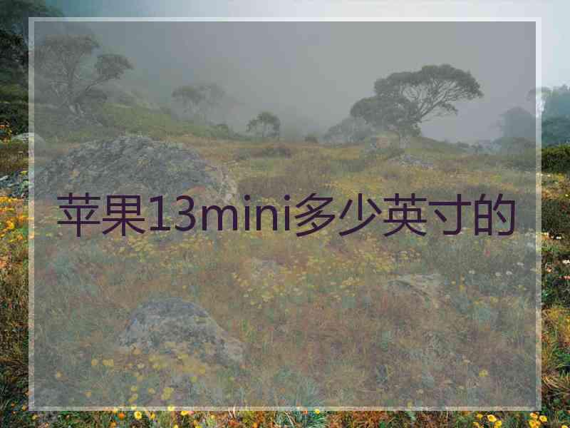 苹果13mini多少英寸的