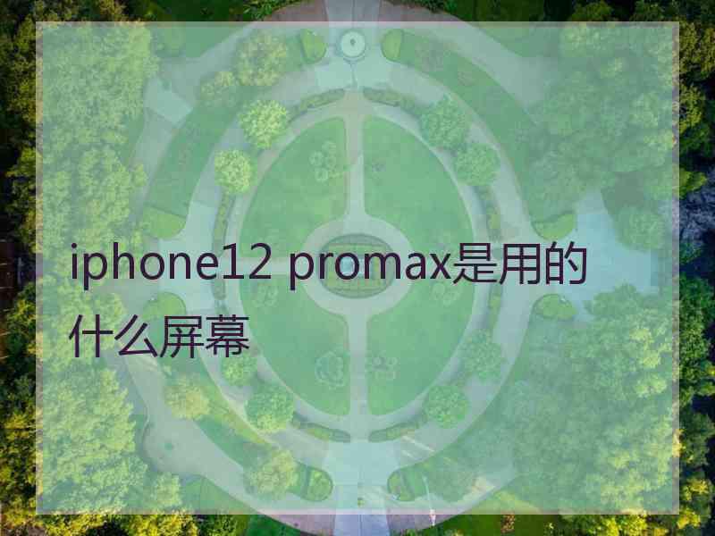 iphone12 promax是用的什么屏幕