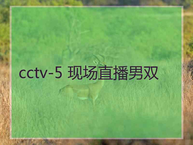 cctv-5 现场直播男双