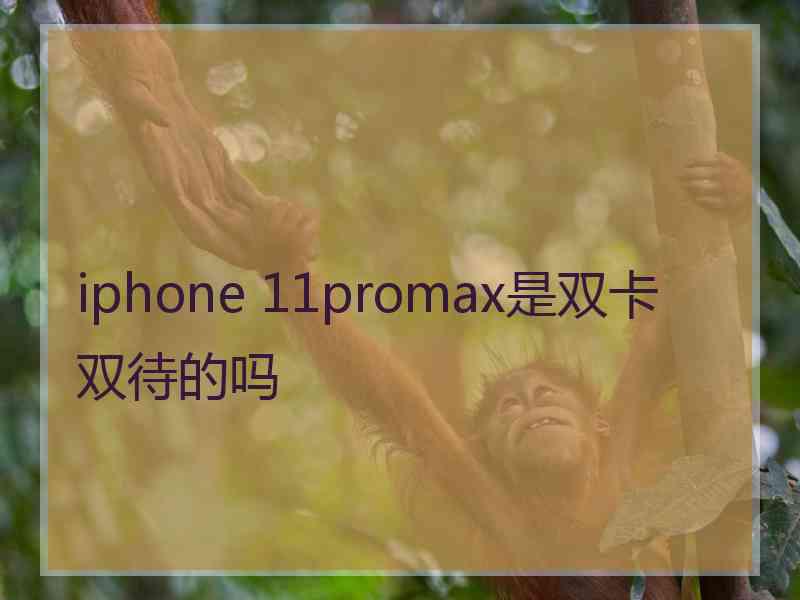 iphone 11promax是双卡双待的吗