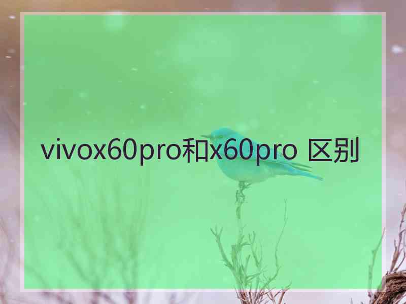 vivox60pro和x60pro 区别