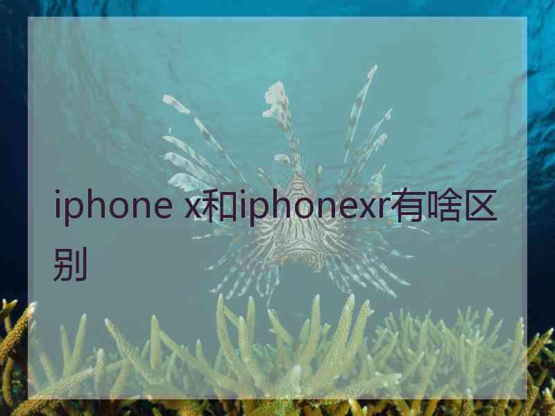 iphone x和iphonexr有啥区别