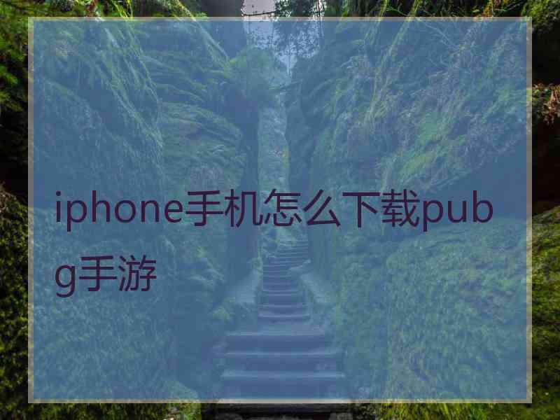 iphone手机怎么下载pubg手游