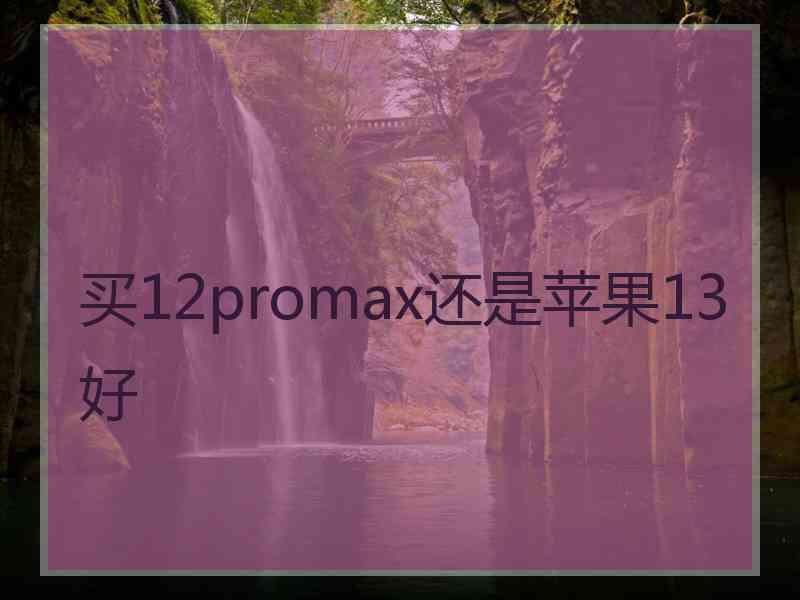 买12promax还是苹果13好