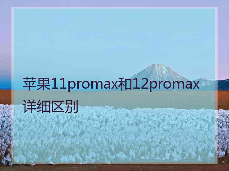 苹果11promax和12promax详细区别