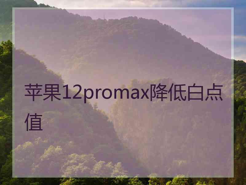 苹果12promax降低白点值