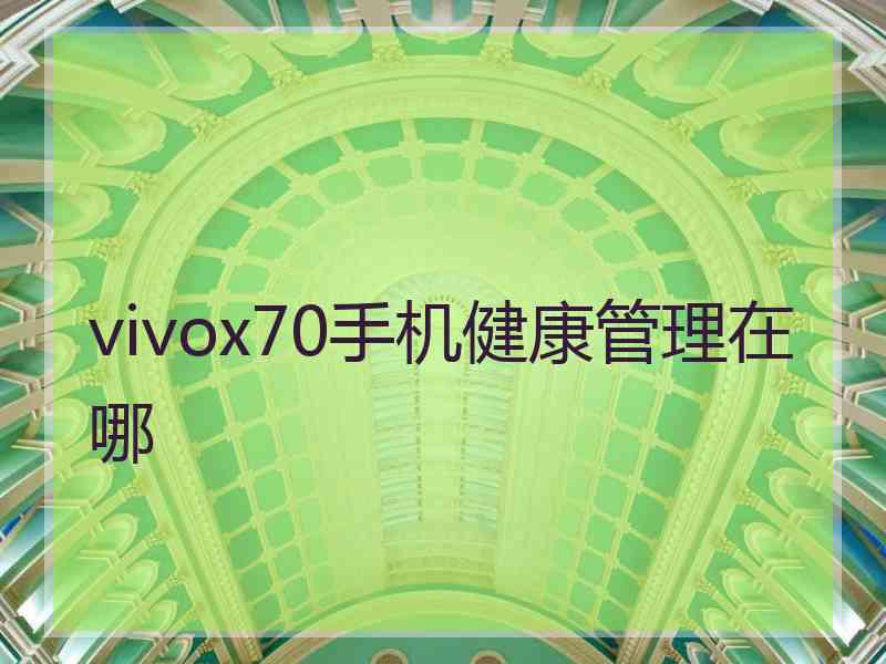 vivox70手机健康管理在哪