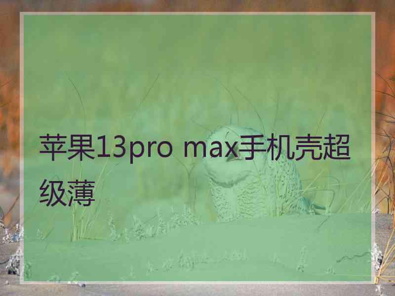 苹果13pro max手机壳超级薄