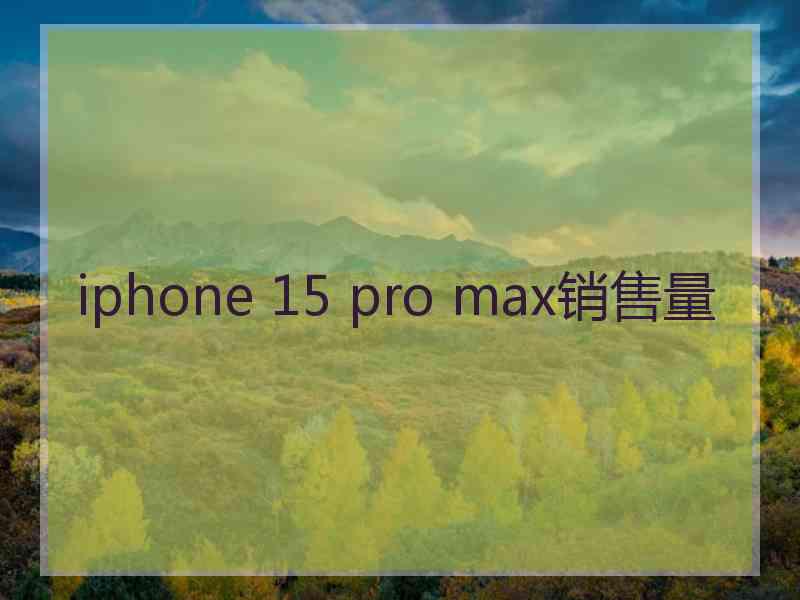 iphone 15 pro max销售量