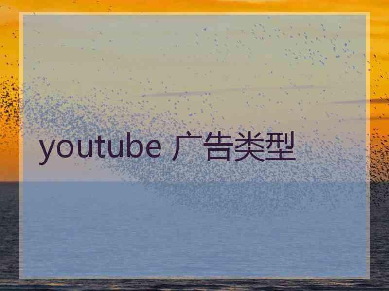 youtube 广告类型