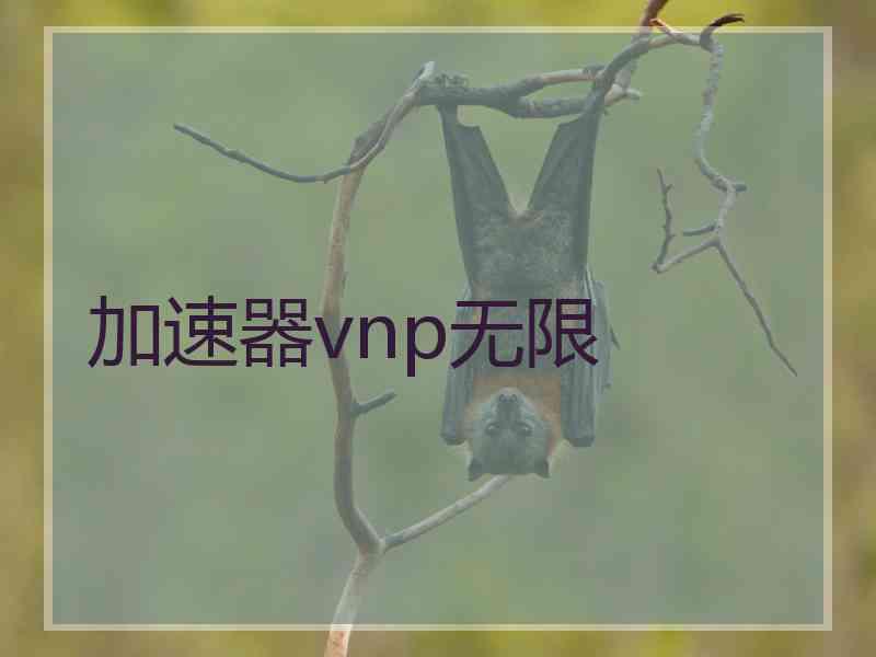 加速器vnp无限