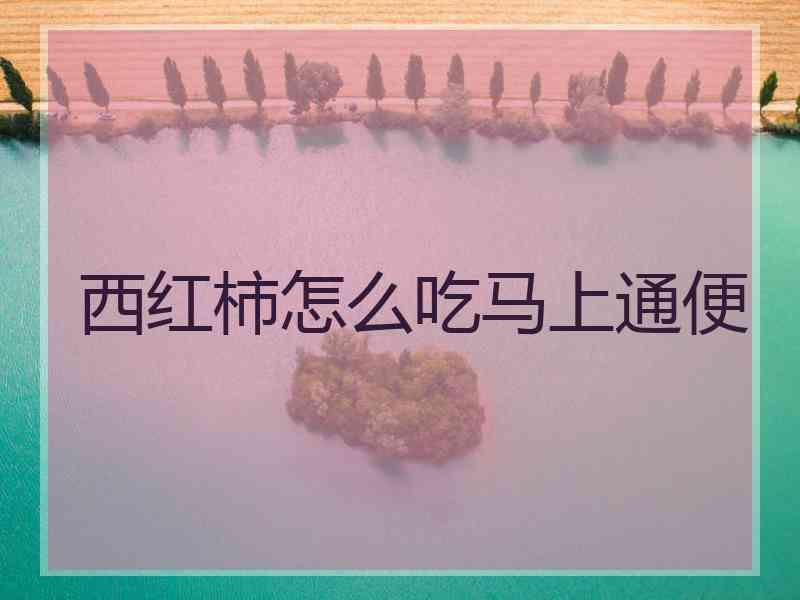 西红柿怎么吃马上通便