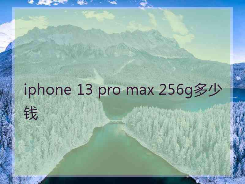 iphone 13 pro max 256g多少钱