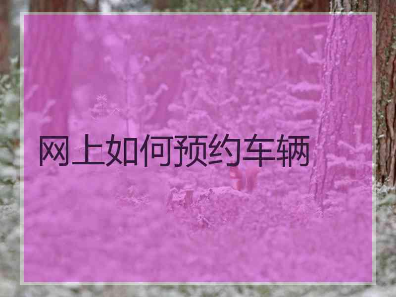 网上如何预约车辆