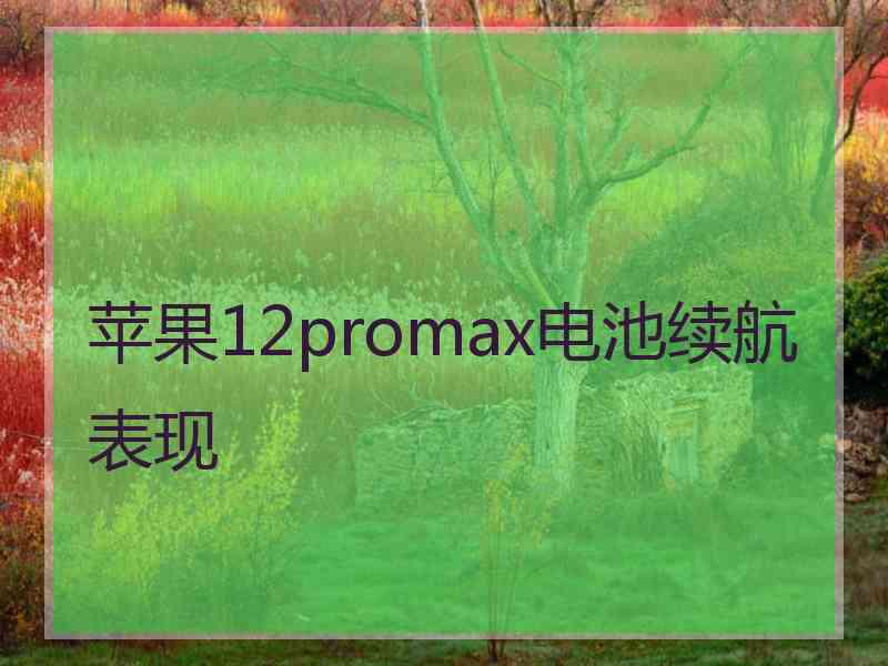 苹果12promax电池续航表现