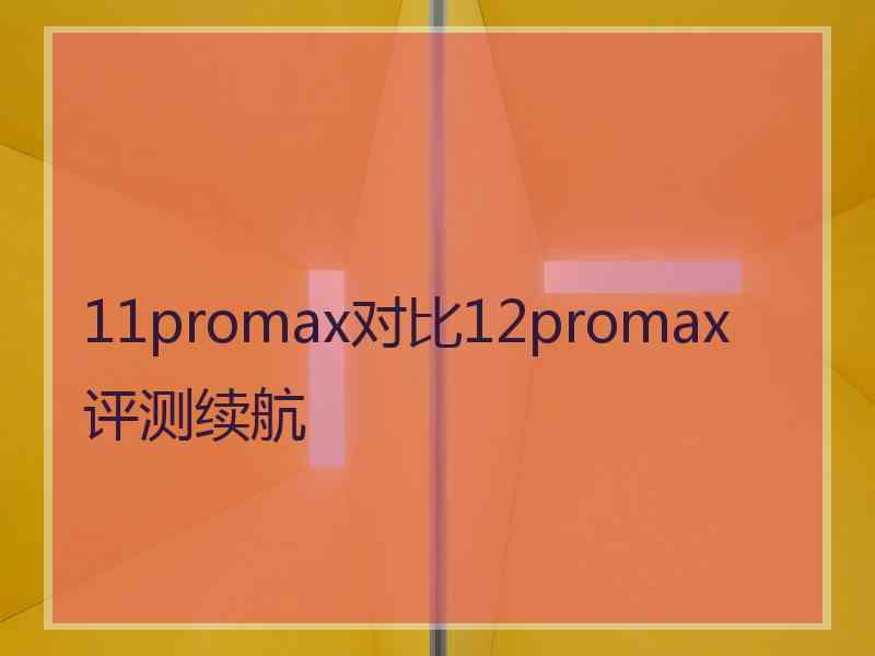 11promax对比12promax评测续航