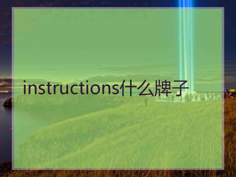 instructions什么牌子