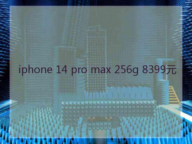 iphone 14 pro max 256g 8399元