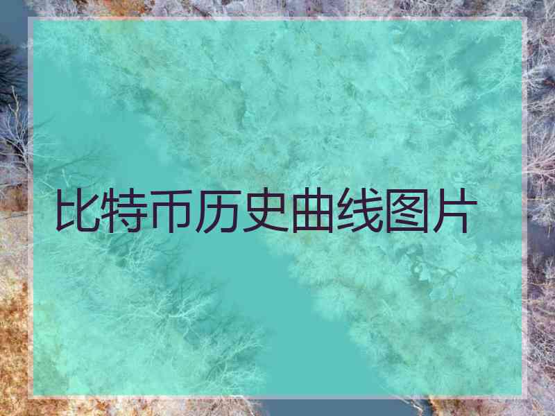 比特币历史曲线图片