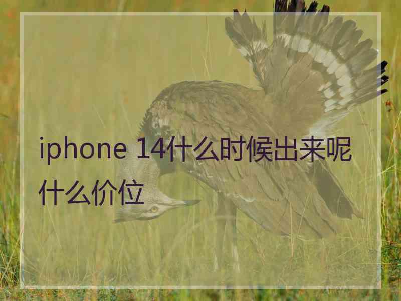 iphone 14什么时候出来呢什么价位