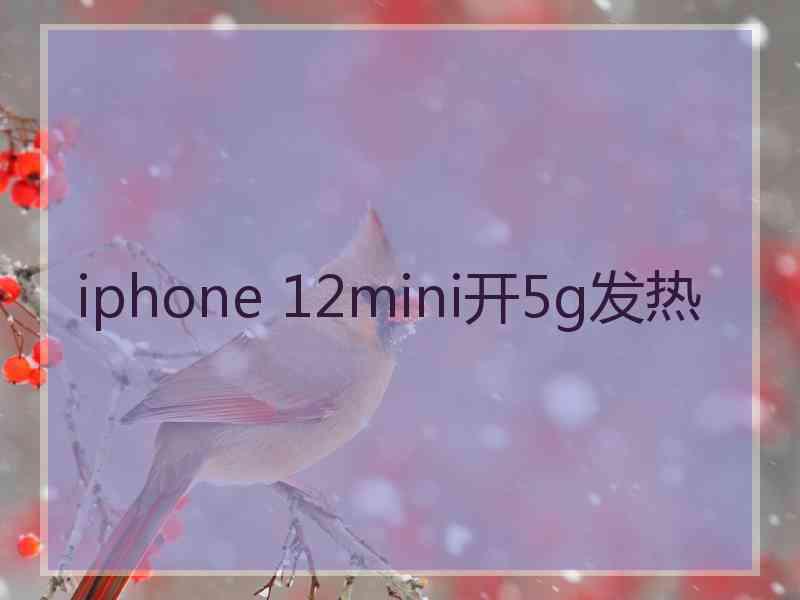 iphone 12mini开5g发热