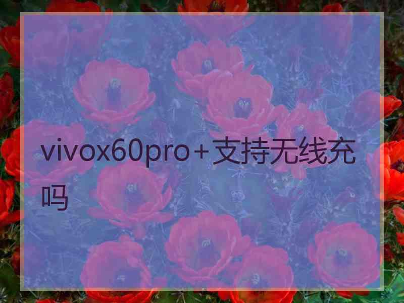 vivox60pro+支持无线充吗