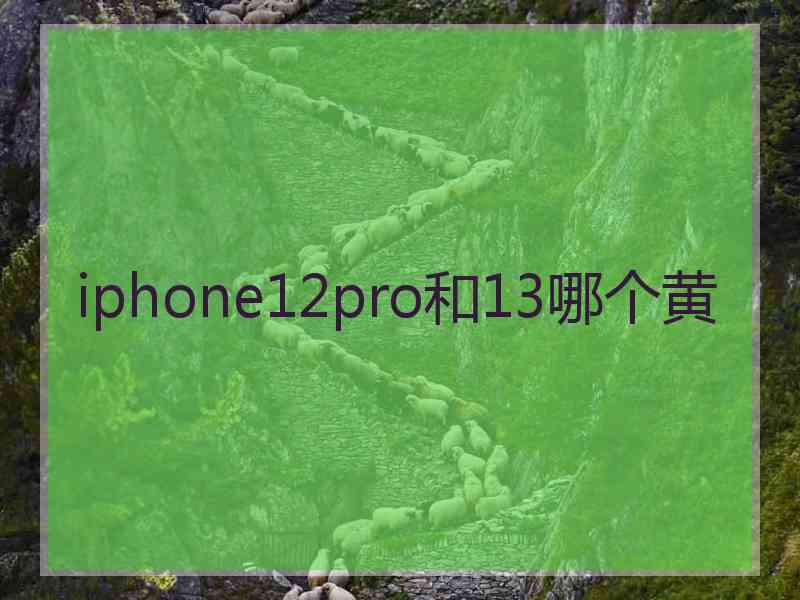 iphone12pro和13哪个黄