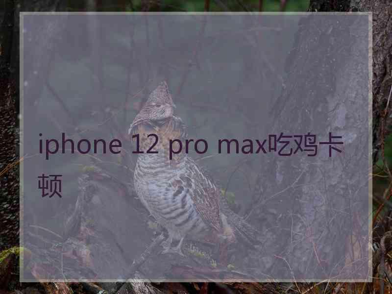 iphone 12 pro max吃鸡卡顿