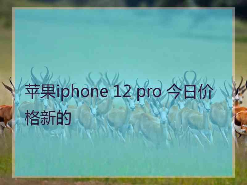 苹果iphone 12 pro 今日价格新的