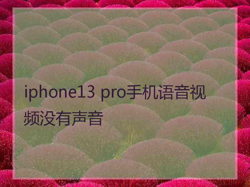 iphone13 pro手机语音视频没有声音