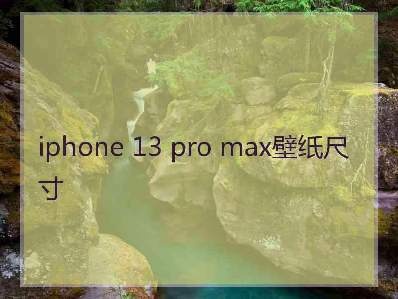 iphone 13 pro max壁纸尺寸