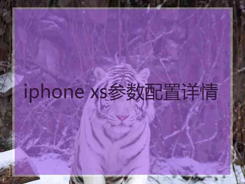 iphone xs参数配置详情