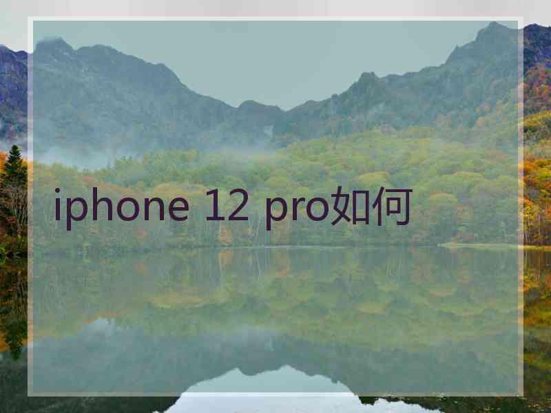 iphone 12 pro如何