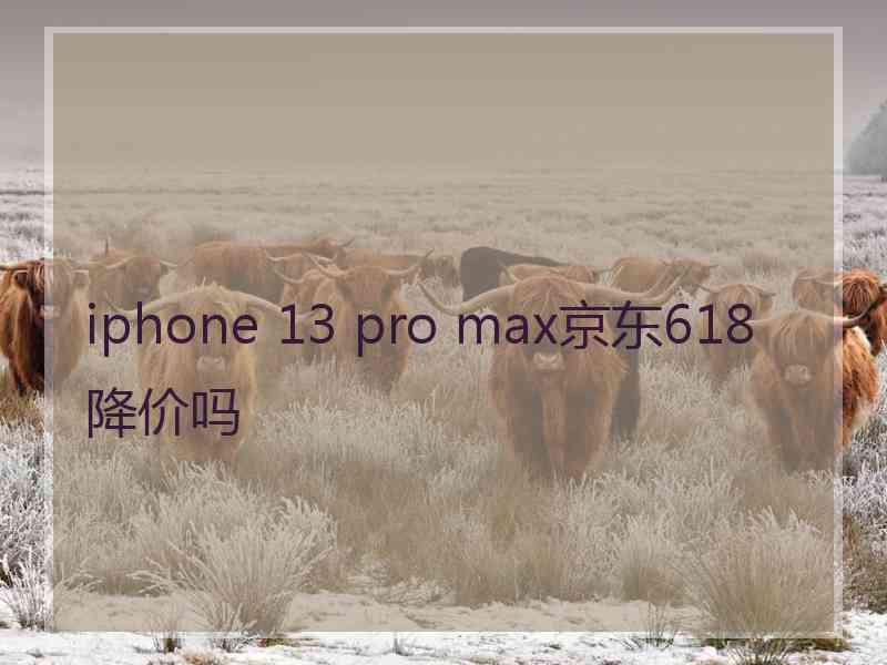 iphone 13 pro max京东618降价吗