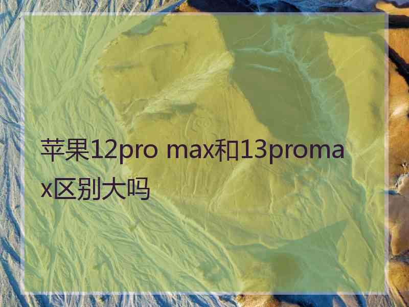 苹果12pro max和13promax区别大吗