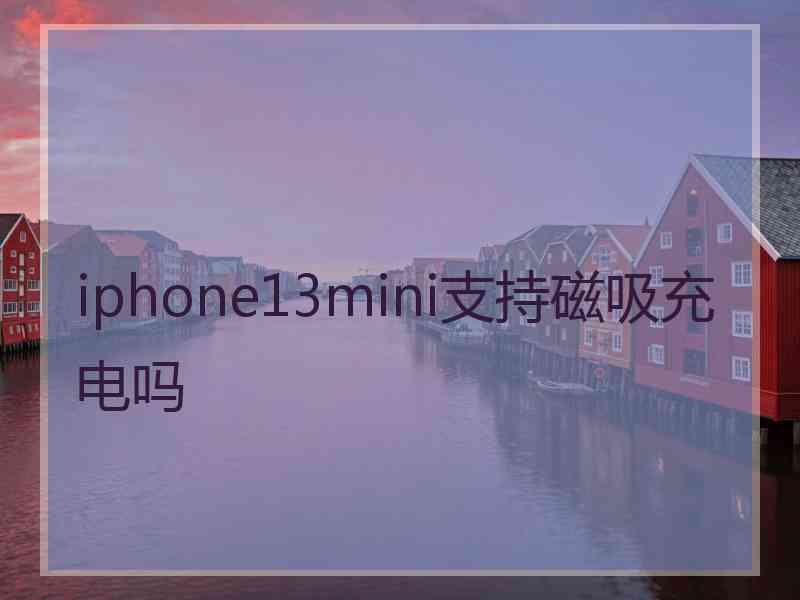 iphone13mini支持磁吸充电吗