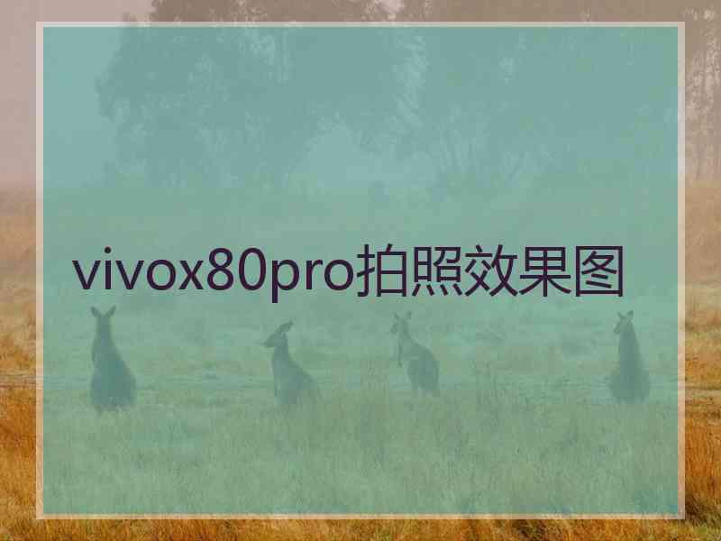 vivox80pro拍照效果图