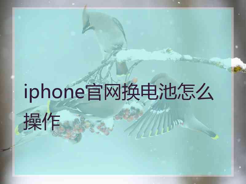 iphone官网换电池怎么操作