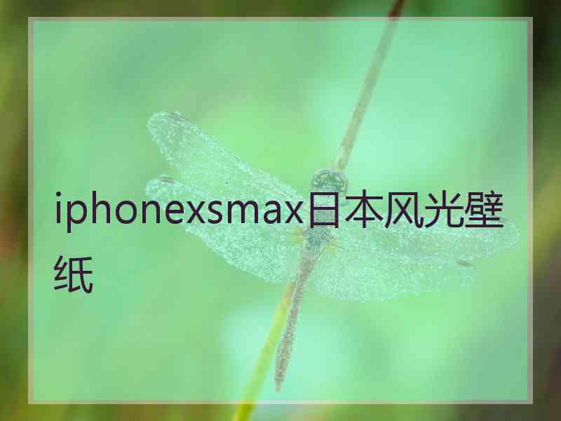 iphonexsmax日本风光壁纸